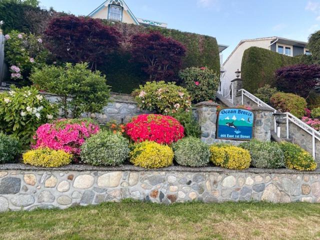 Ocean Breeze Executive Bed And Breakfast North Vancouver Kültér fotó